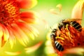 Two bees on a beautiful red-yellow flower. Artistic natural macro image.